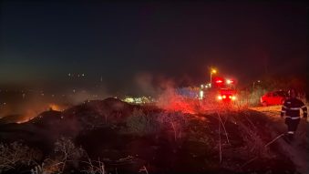TULCEA: Incendiu de vegetație și resturi menajere la marginea localității Somova