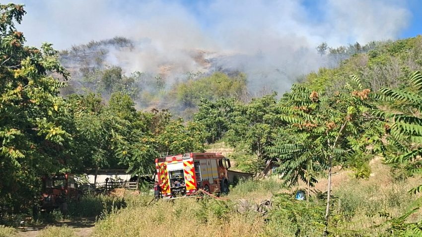 Județul TULCEA: Un incendiu de vegetație uscată, produs în localitatea Greci. Focul s-a extins la fondul forestier