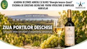 AUDIO | Ziua Porților Deschise la Stațiunea de Cercetare Murfatlar