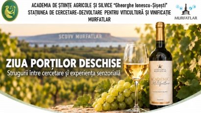 AUDIO | Ziua Porților Deschise la Stațiunea de Cercetare Murfatlar