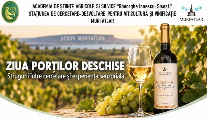 AUDIO | Ziua Porților Deschise la Stațiunea de Cercetare Murfatlar