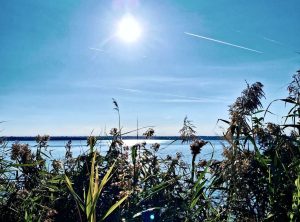Vreme frumoasă și caldă, în Dobrogea și pe litoral