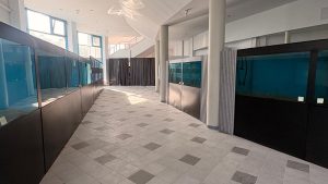 AUDIO | Acvariul din Constanța va funcționa provizoriu în cadrul Delfinariului