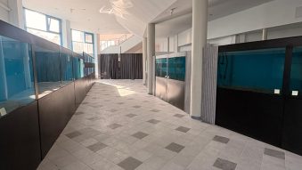 AUDIO | Acvariul din Constanța va funcționa provizoriu în cadrul Delfinariului