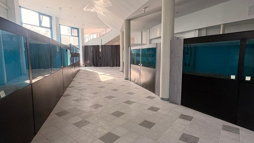 AUDIO | Acvariul din Constanța va funcționa provizoriu în cadrul Delfinariului