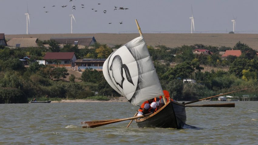 TULCEA: Regatta Nod în Papură – A Treia Rafală, trei zile de competiții nautice și evenimente culturale în Portul Sarichioi