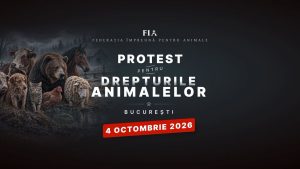 Aproape 80 de asociații și iubitori de animale din toată țara protestează în Capitală, de Ziua Internațională a Animalelor