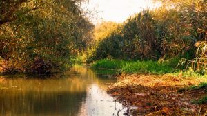 ARBDD anunță restricții pentru pescari și navigatori în Delta Dunării din cauza nivelului scăzut al apelor