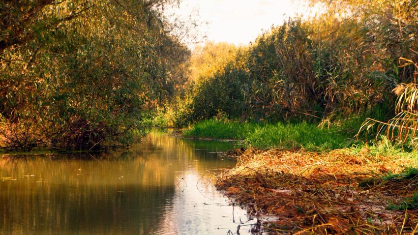 ARBDD anunță restricții pentru pescari și navigatori în Delta Dunării din cauza nivelului scăzut al apelor