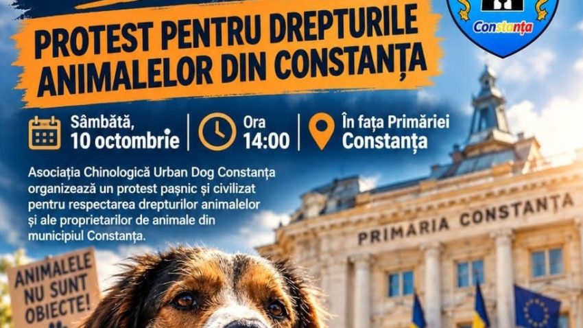 Protest al proprietarilor de animale în fața Primăriei CONSTANȚA: „Vrem reguli clare, respectarea legii și condiții decente”