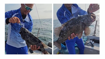 AUDIO | Un nou locatar al Mării Negre: Korean Rockfish, peștele gustos, dar cu spini periculoși