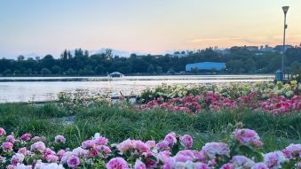 TULCEA: Parcul Ciuperca, supravegheat cu 80 de camere și un soft cu inteligență artificială