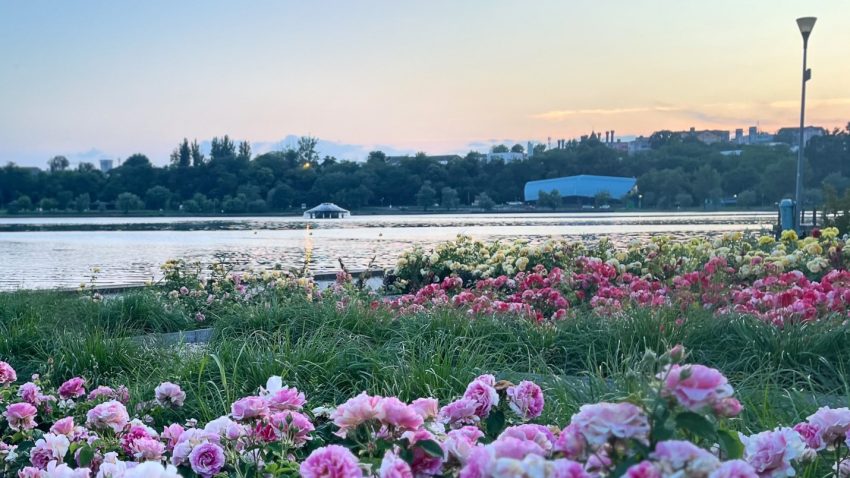 TULCEA: Parcul Ciuperca, supravegheat cu 80 de camere și un soft cu inteligență artificială