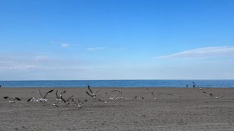Vreme frumoasă și caldă, luni, în Dobrogea