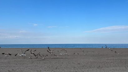 Vreme frumoasă și caldă, luni, în Dobrogea