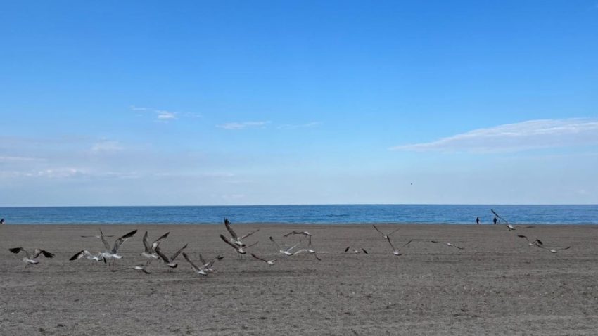 Vreme frumoasă și caldă, luni, în Dobrogea