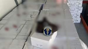 Încălțăminte „de marcă”, în valoare de aproape 5 milioane de lei, confiscată la Isaccea