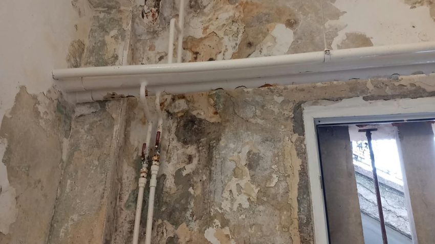 FOTO | Produse expirate, legume aproape stricate și spații neigienizate, printre deficiențele descoperite de inspectorii CJPC Constanța. Au fost aplicate sancțiuni de peste un milion de lei