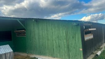 Județul TULCEA: Verificări la adăpostul de câini din Dăeni. Săptămâna trecută, DSVSA a permis reluarea activității