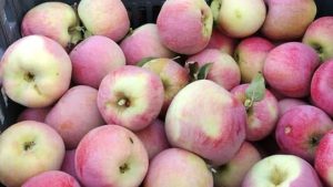 AUDIO | Calitatea face diferența. Producătorii de fructe nu duc lipsă de clienți, deși își vând produsele mai scump