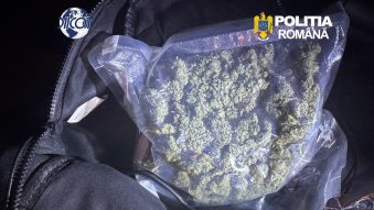 Un bărbat de 27 de ani, prins în flagrant pe autostrada A2. Avea asupra lui 250 de grame de canabis, destinate comercializării