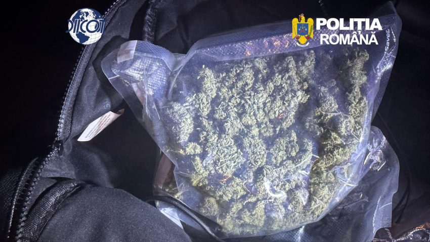 Un bărbat de 27 de ani, prins în flagrant pe autostrada A2. Avea asupra lui 250 de grame de canabis, destinate comercializării