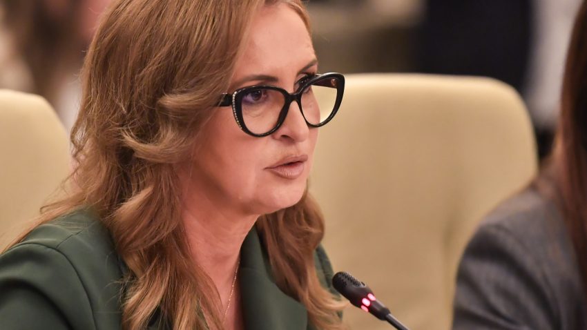 Natalia Elena Intotero, aviz favorabil pentru funcția de ministru al Mediului, Apelor şi Pădurilor