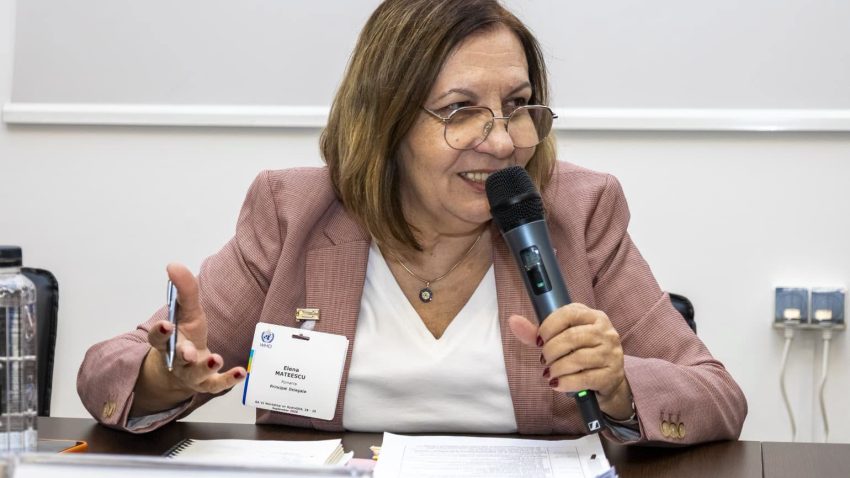 Diana Buzoianu cere demisia conducerii ANM, după achiziții de produse de lux din bani publici. Reacția Elenei Mateescu