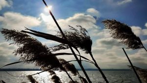 Vremea se încălzește, în Dobrogea
