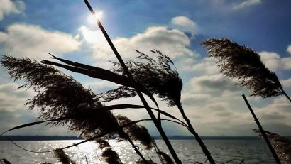 Vremea se încălzește, în Dobrogea