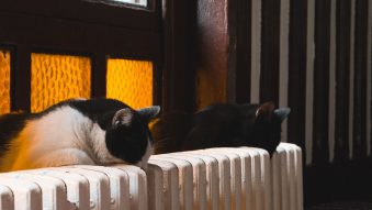AUDIO | Cum poate fi redusă factura la încălzire pentru constănțenii racordați la sistemul centralizat de termoficare