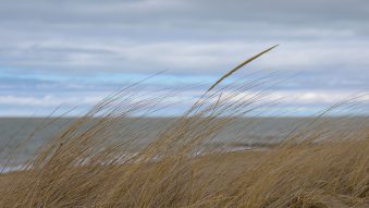 Vremea se menține rece, în Dobrogea. Regiunea se află sub atenționare meteorologică COD GALBEN de vânt