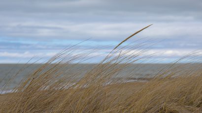 Vremea se menține rece, în Dobrogea. Regiunea se află sub atenționare meteorologică COD GALBEN de vânt