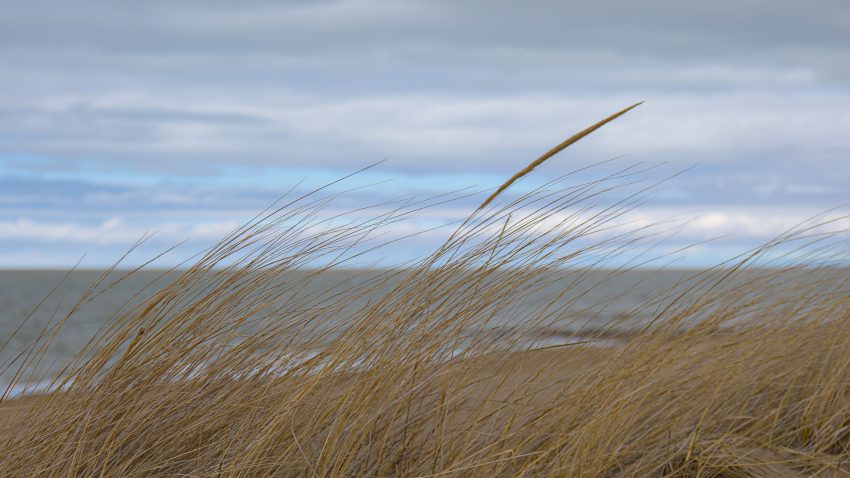 Vremea se menține rece, în Dobrogea. Regiunea se află sub atenționare meteorologică COD GALBEN de vânt