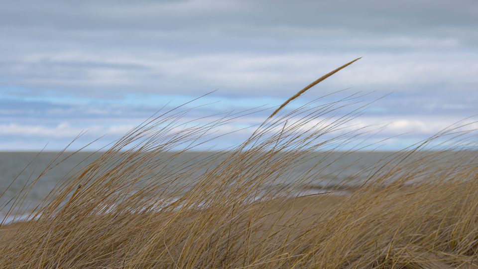 Vremea se menține rece, în Dobrogea. Regiunea se află sub atenționare meteorologică COD GALBEN de vânt